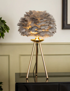 Dreamy Feather Lamp